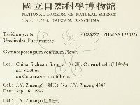 登錄號:F0026222藏品圖，第2張