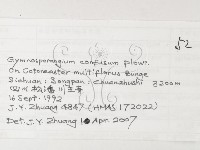 登錄號:F0026222藏品圖，第3張