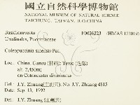 登錄號:F0026223藏品圖，第2張