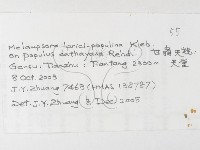 登錄號:F0026225藏品圖，第3張