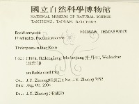 登錄號:F0026226藏品圖，第2張