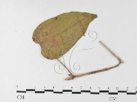 登錄號:F0026226藏品圖，第4張