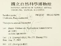 登錄號:F0026227藏品圖，第2張