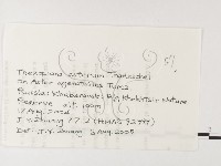 登錄號:F0026227藏品圖，第3張