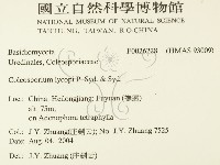 登錄號:F0026228藏品圖，第2張