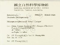 登錄號:F0026229藏品圖，第2張