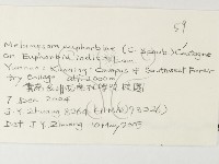 登錄號:F0026229藏品圖，第3張