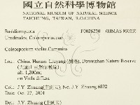 登錄號:F0026230藏品圖，第2張