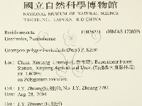 登錄號:F0026231藏品圖，第2張