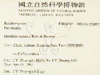 登錄號:F0026232藏品圖，第2張