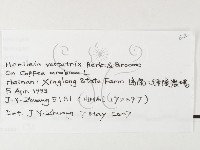 登錄號:F0026232藏品圖，第3張