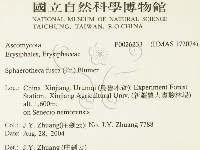 登錄號:F0026233藏品圖，第2張