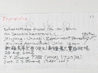 登錄號:F0026233藏品圖，第3張