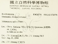 登錄號:F0026234藏品圖，第2張