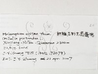 登錄號:F0026234藏品圖，第3張
