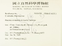 登錄號:F0026235藏品圖，第2張