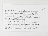 登錄號:F0026235藏品圖，第3張