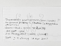 登錄號:F0026239藏品圖，第3張