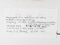 登錄號:F0026240藏品圖，第3張