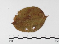 登錄號:F0026241藏品圖，第4張
