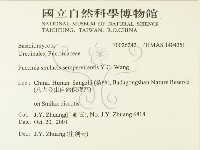 登錄號:F0026242藏品圖，第2張