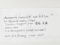 登錄號:F0026243藏品圖，第3張