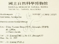登錄號:F0026244藏品圖，第2張
