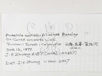 登錄號:F0026244藏品圖，第3張