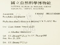 登錄號:F0026245藏品圖，第2張