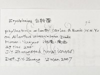 登錄號:F0026245藏品圖，第3張