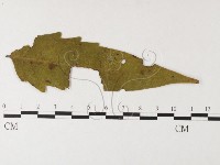 登錄號:F0026245藏品圖，第4張