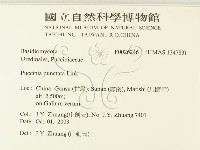 登錄號:F0026246藏品圖，第2張