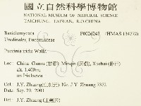 登錄號:F0026247藏品圖，第2張