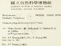 登錄號:F0026249藏品圖，第2張