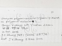 登錄號:F0026249藏品圖，第3張