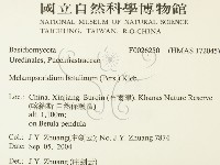 登錄號:F0026250藏品圖，第2張