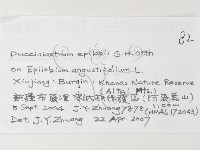 登錄號:F0026251藏品圖，第3張