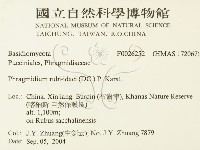 登錄號:F0026252藏品圖，第2張