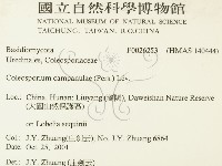 登錄號:F0026253藏品圖，第2張