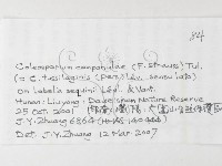 登錄號:F0026253藏品圖，第3張