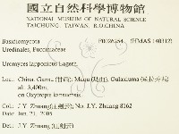 登錄號:F0026254藏品圖，第2張