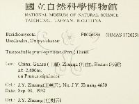 登錄號:F0026255藏品圖，第2張