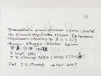 登錄號:F0026255藏品圖，第3張