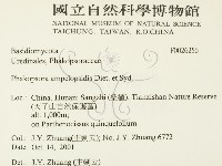 登錄號:F0026256藏品圖，第2張