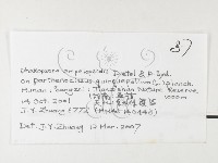 登錄號:F0026256藏品圖，第3張