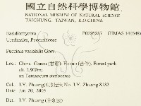 登錄號:F0026257藏品圖，第2張