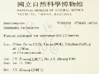 登錄號:F0026259藏品圖，第2張