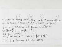 登錄號:F0026261藏品圖，第3張