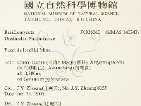 登錄號:F0026262藏品圖，第2張