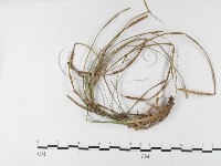 登錄號:F0026264藏品圖，第4張